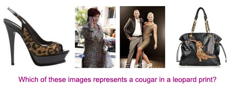 CAPTCHA-cougar